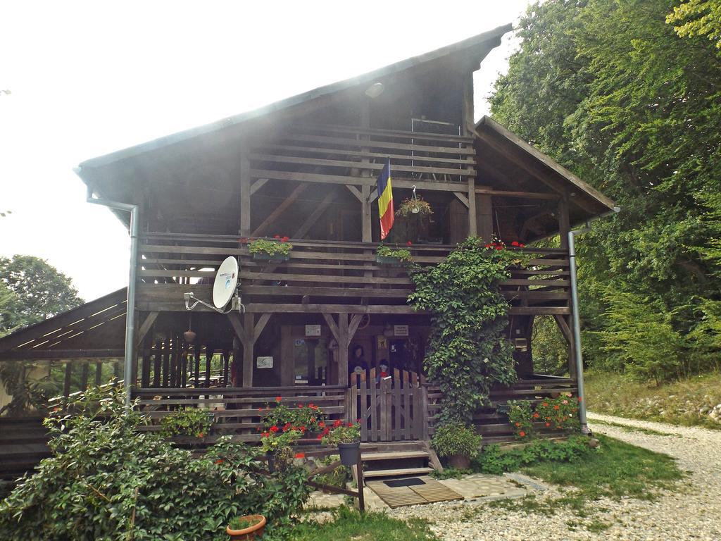 Cabana La Noi Otel Rîşnov Dış mekan fotoğraf