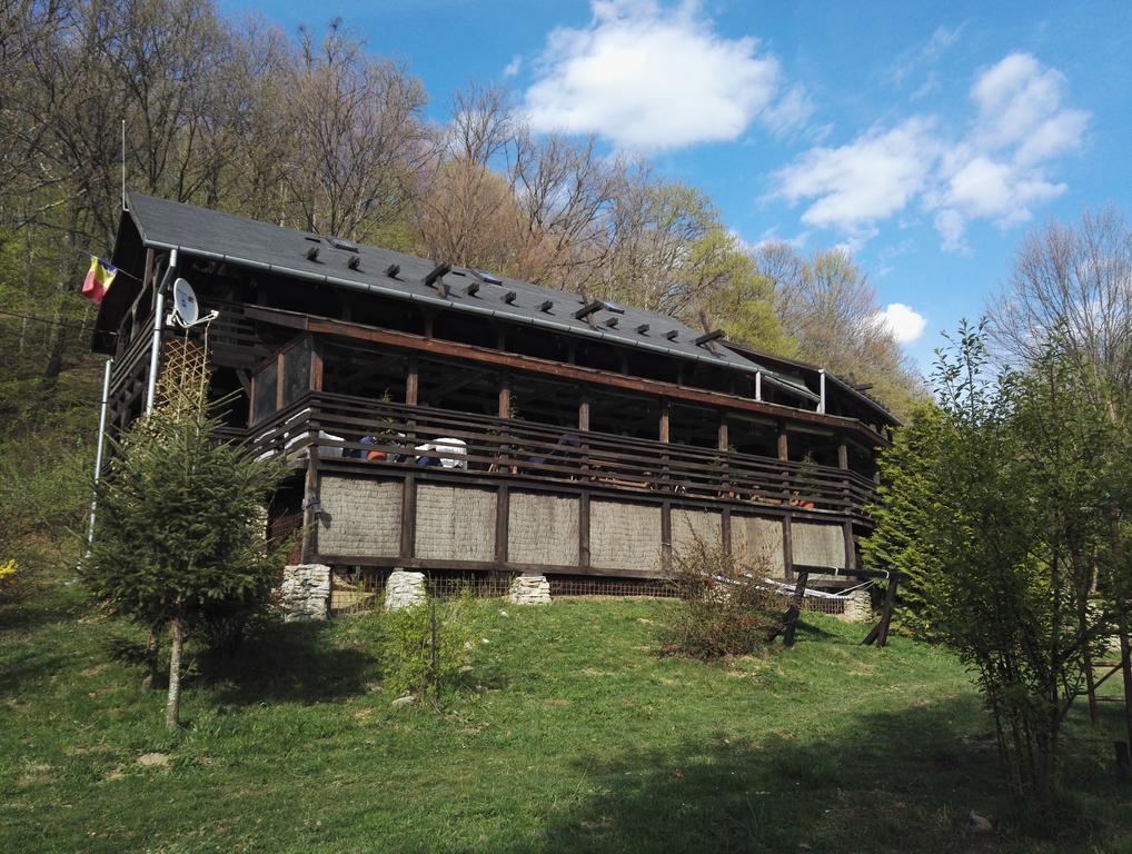 Cabana La Noi Otel Rîşnov Dış mekan fotoğraf