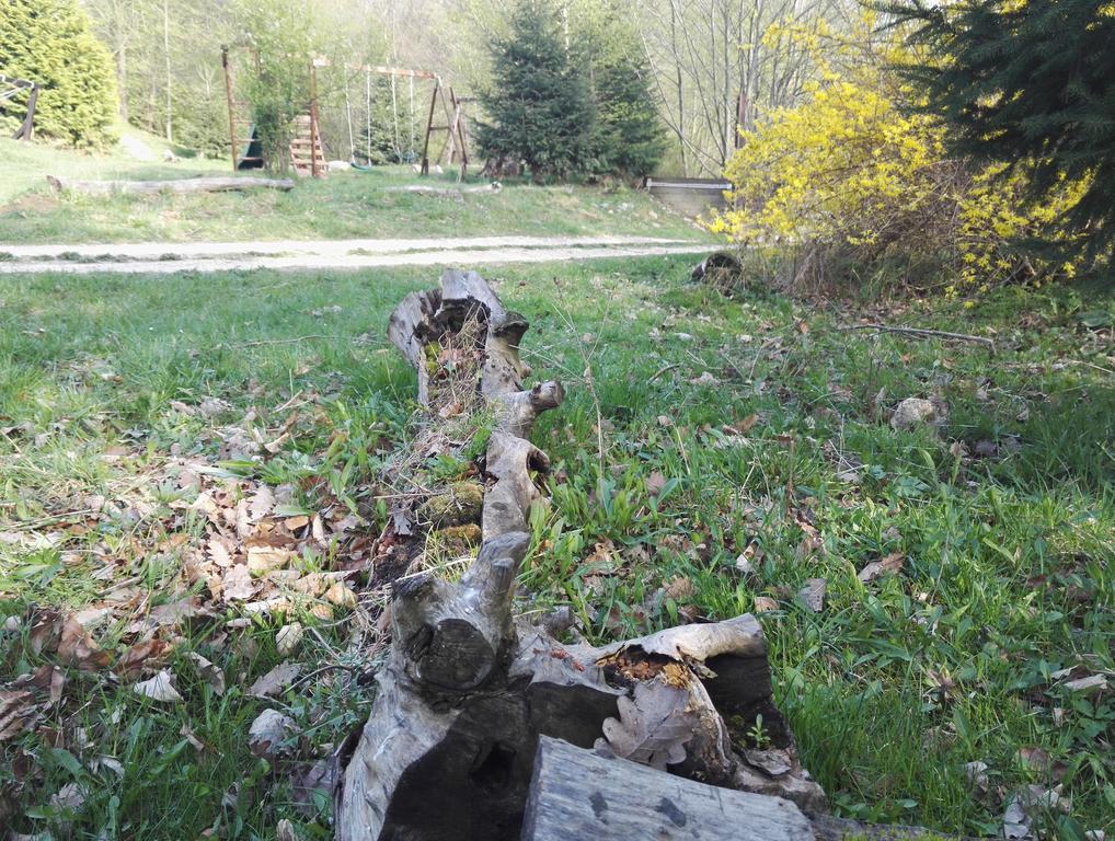Cabana La Noi Otel Rîşnov Dış mekan fotoğraf