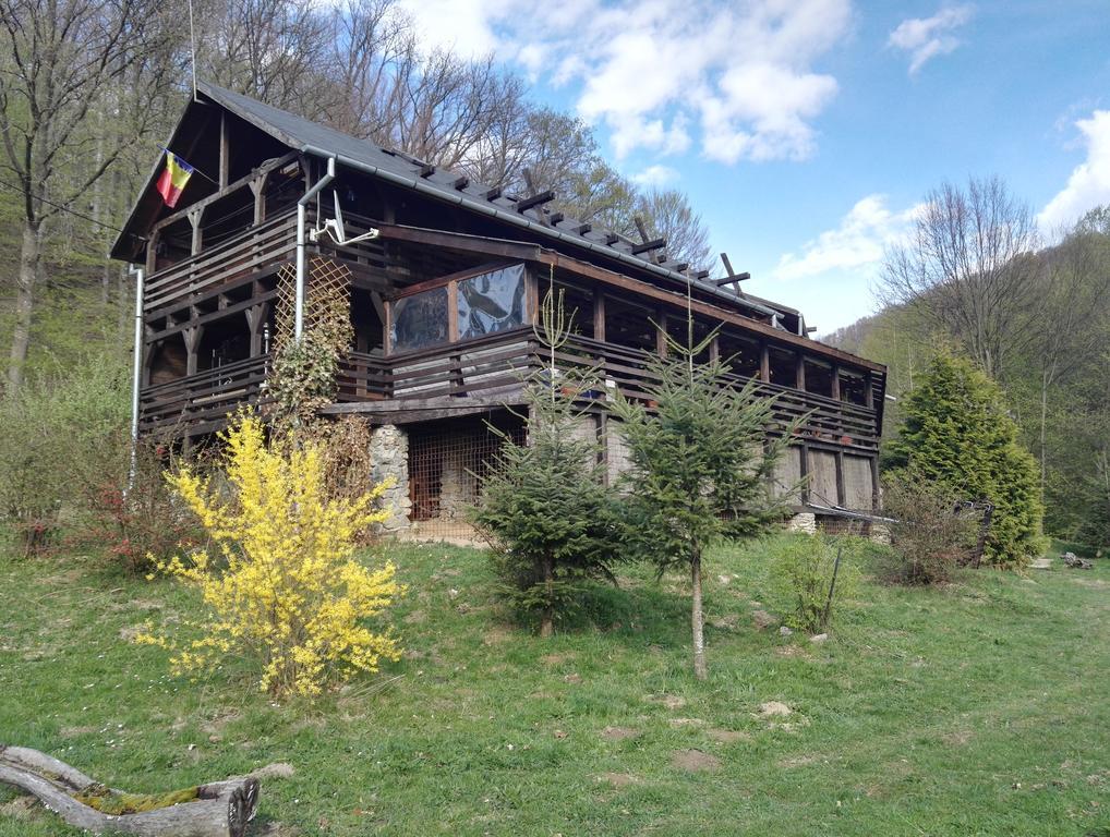 Cabana La Noi Otel Rîşnov Dış mekan fotoğraf